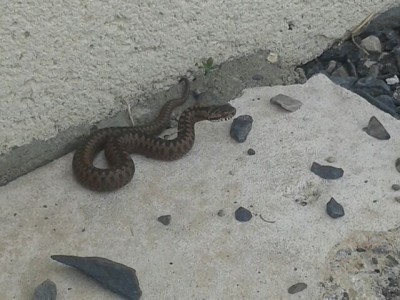 20130608_180127.jpeg