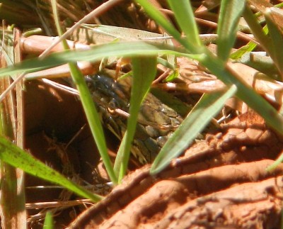 DSCN3640.JPG