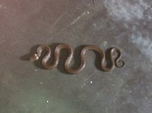 Serpent GK-Juillet 2013.jpg