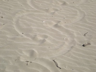 DSCN1798.jpg