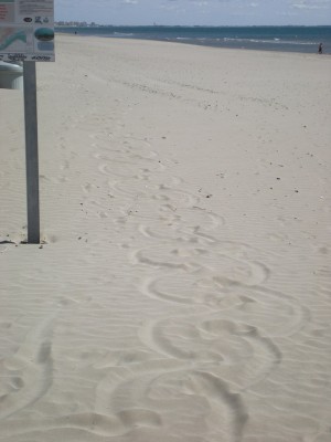 DSCN1800.jpg