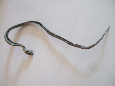 DSCF1837 web.jpg