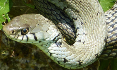 2014-07-26_212002.png