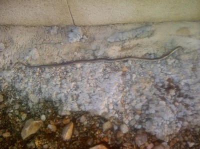 image1.jpeg