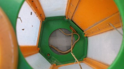 DSC_0424.jpg
