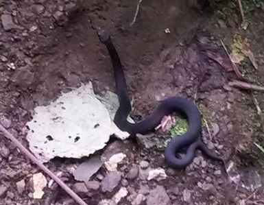 20150827_163546.jpg